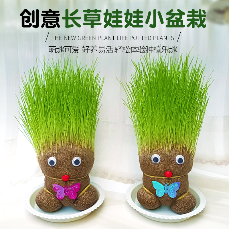 迷你花盆養(yǎng)的小植物、迷你花盆養(yǎng)的小植物放客廳好嗎