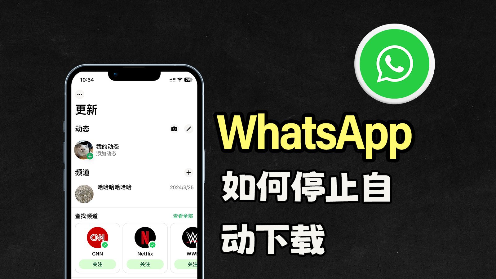 whatsapp官方網下載手機版、whatsapp官網手機版下載最新版