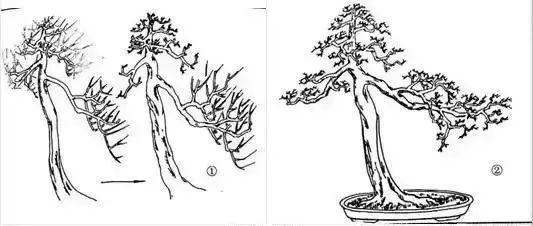 盆景造型技法、盆景造型技法二十四招