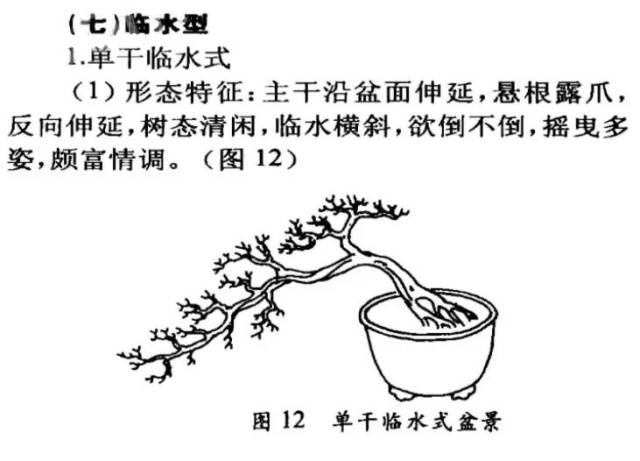 盆景初學(xué)者正確圖解、盆景初學(xué)者正確圖解大全