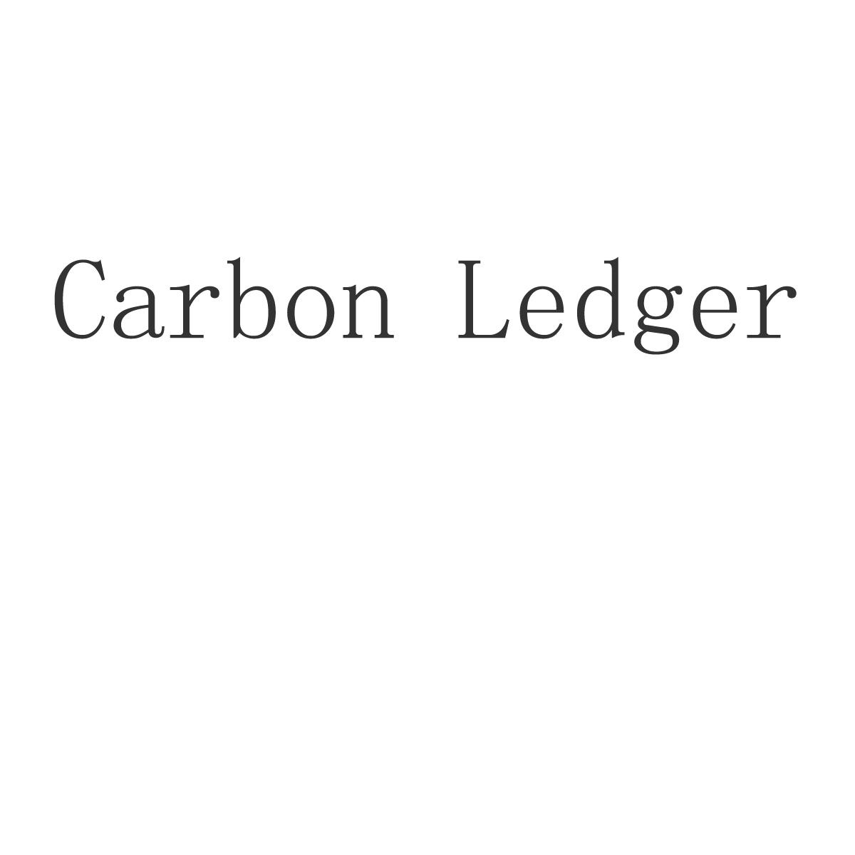 ledger官方網站、ledger entries