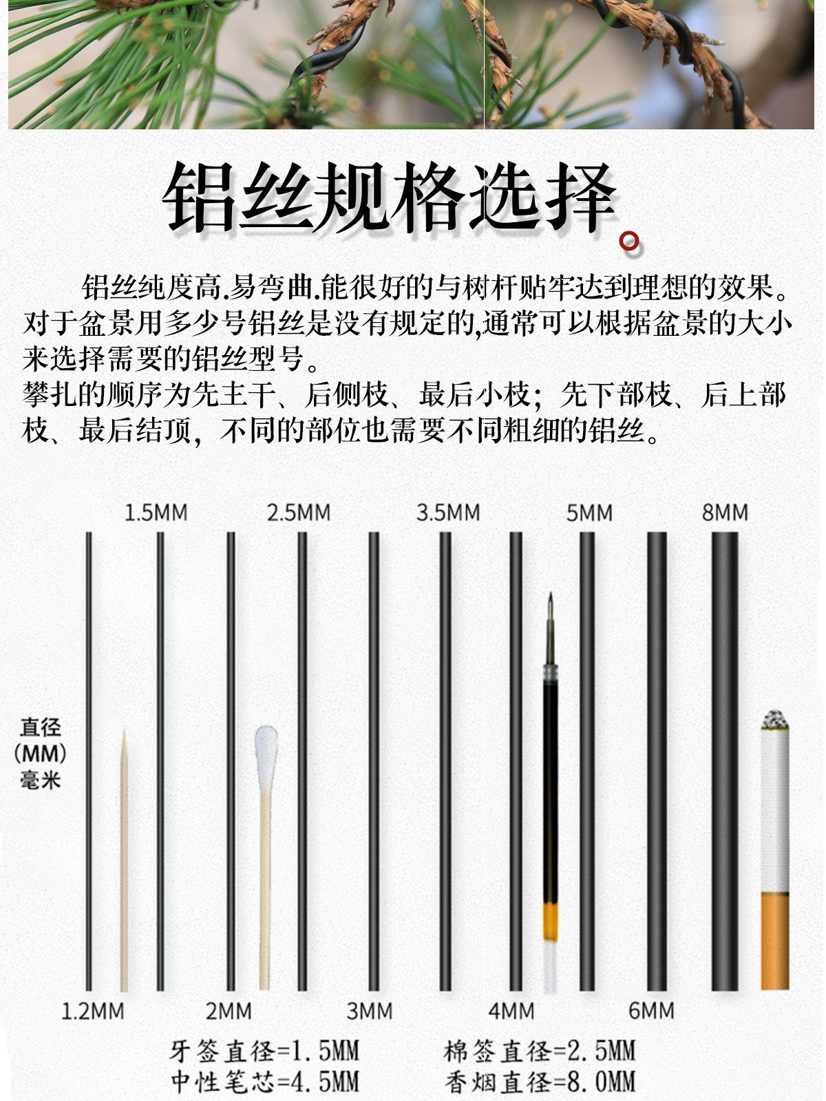 盆景底部鋁絲怎么固定、盆景底部鋁絲怎么固定在墻上