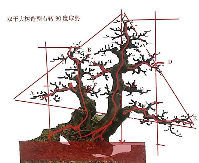 盆景造型制作軟件、盆景造型制作軟件下載