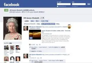 facebook在中國(guó)怎么才可以用、facebook在中國(guó)怎么才可以用又不收費(fèi)呢