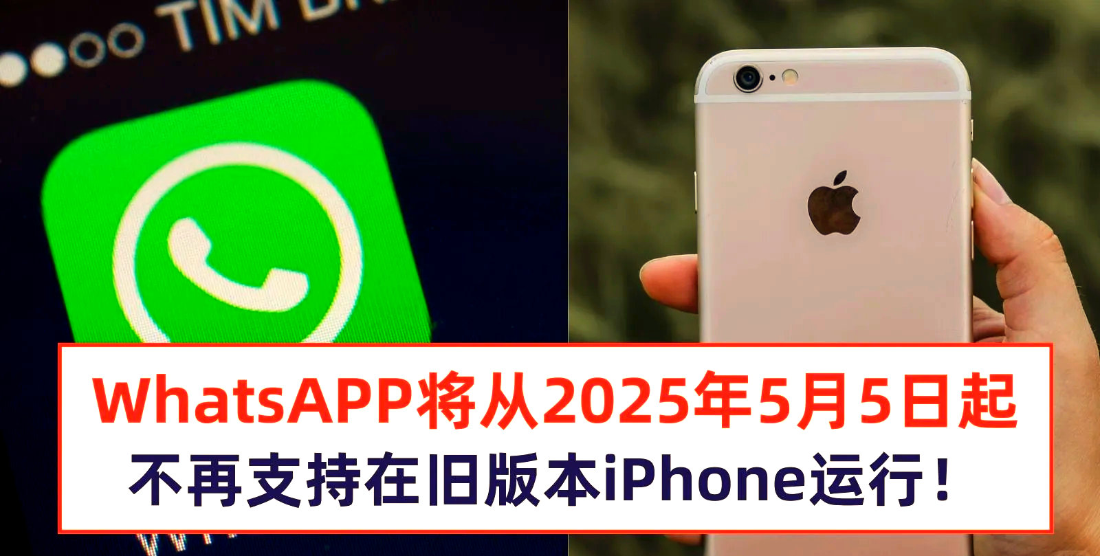 whatsapp國內能用嗎蘋果、whatsapp在中國蘋果手機怎么才能用