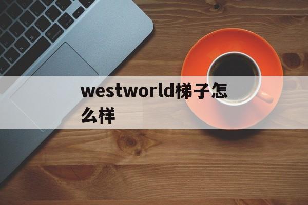 關(guān)于westworld梯子怎么樣的信息